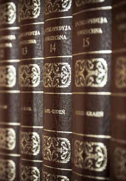 Go through every study you did and ask yourself what aspects are aligned with the direction you're going Encyclopedia books