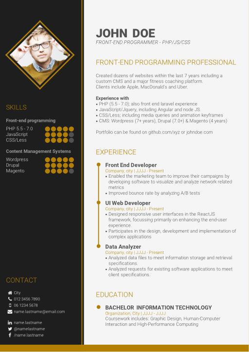 Online CV template