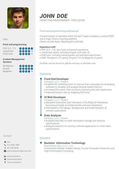 professional CV template junior