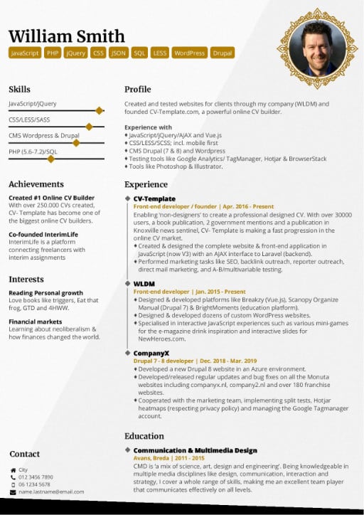 Proffesional Resume Template from www.cv-template.com