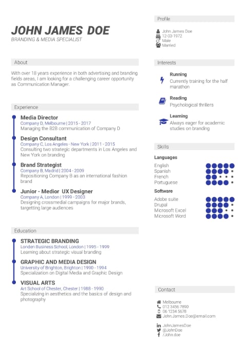 Professional CV Template from my CV Builder professional CV template