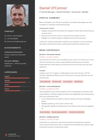 Creative CV template example with a dark sidebar, and expressive visual details