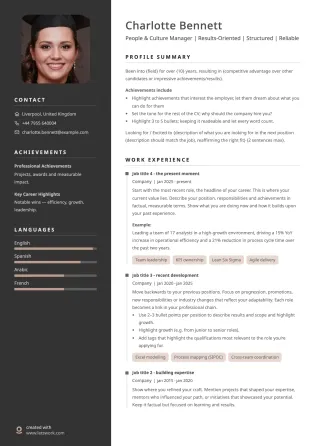 Professional CV template example with a dark sidebar, structured layout, and classic gold accents