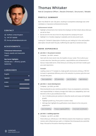 Modern CV template example featuring a dark-blue sidebar and a clean, contemporary layout