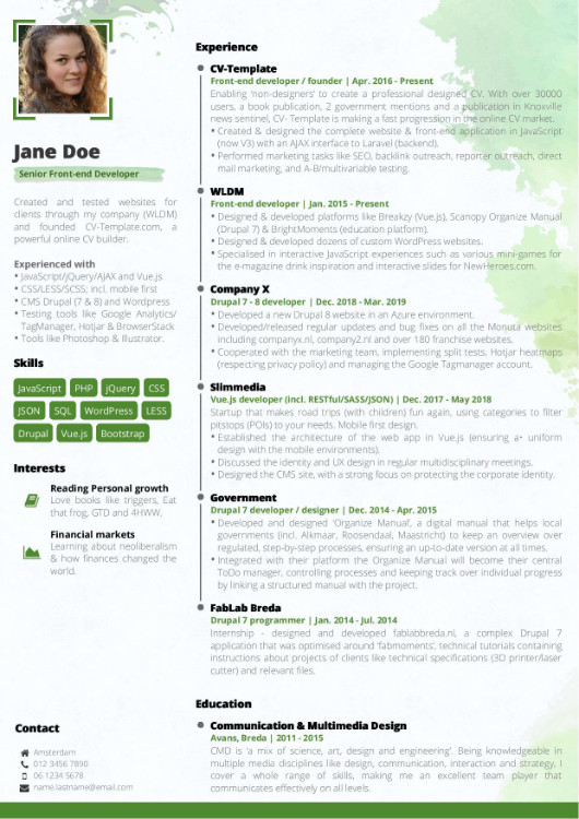 Premium CV Template from my CV Maker premium CV template